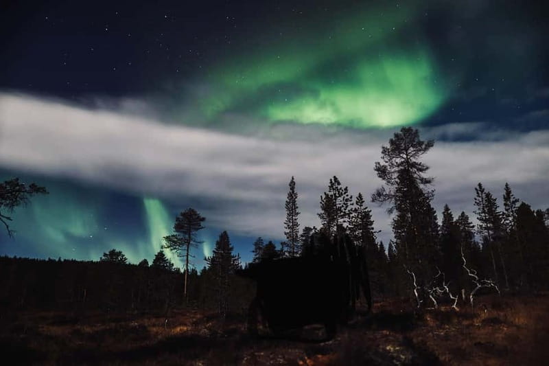 Saariselkä,Kakslauttanen: Aurora Hunting & Photography Tour. - Guides who make the difference