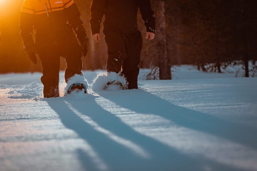 Saariselkä: Northern Lights Hunting Snowshoe Trip - Looking for the northern lights above Saariselkä
