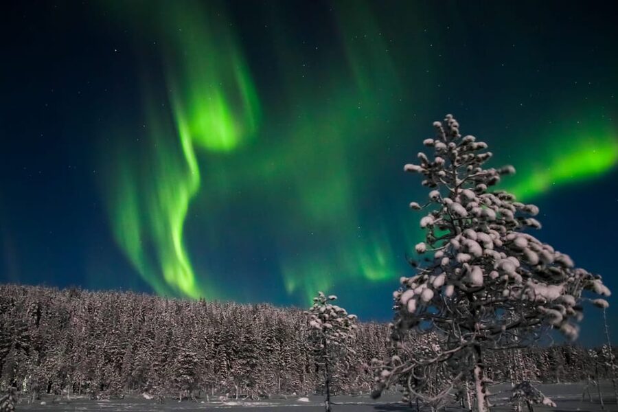 Saariselkä: Northern Lights Hunting Snowshoe Trip - Learning the snowshoe rhythm in deep snow