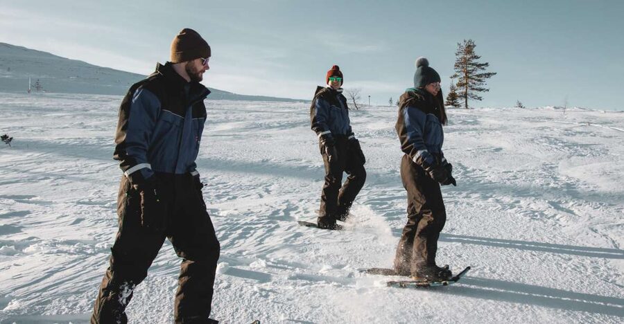 Saariselkä: Scenic Snowshoe Safari - Key points to know before you book