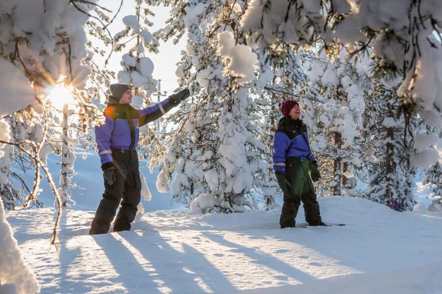 Saariselkä: Scenic Snowshoe Safari - Who will enjoy this Saariselkä activity?