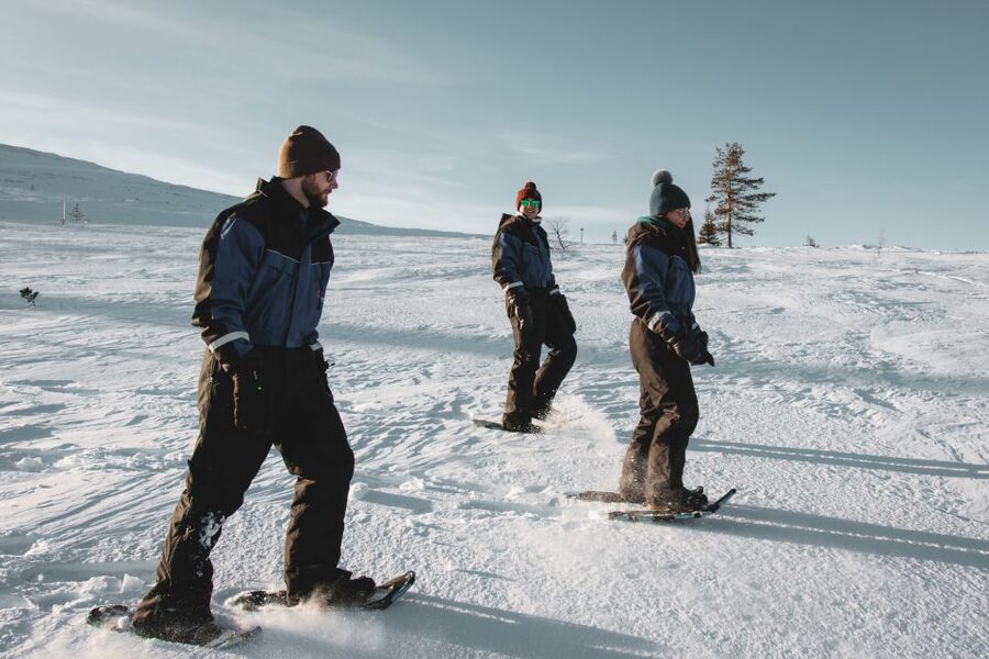 Saariselkä: Scenic Snowshoe Safari - Learning to walk on snowshoes
