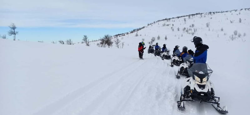 Saariselka: Snowmobile Safari on Tundra with BBQ - Riding through Saariselkä’s winter forests