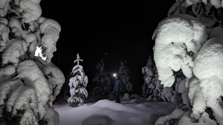 Saariselkä: Snowshoeing Tour in Urho Kekkonen National Park - Guides, group size, and the human side