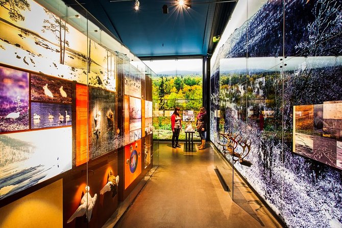 Sámi Village Inari and Siida Museum by Car - Key points to know before booking