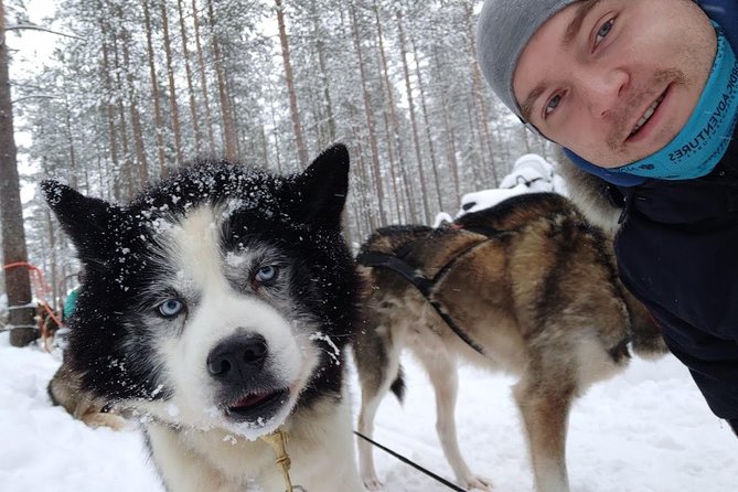Santa Claus Village Guided Tour & Arctic Animals Adventure - A practical way to see Santa Claus Village