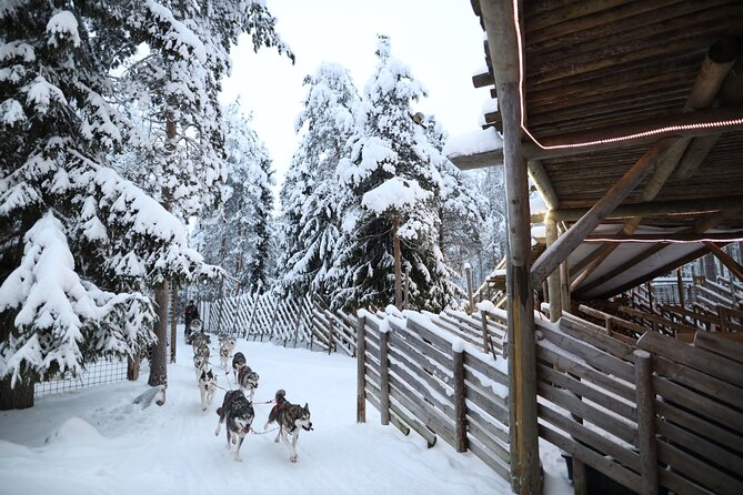 Santa Claus Village, Husky and Reindeers Combo Safari - Quick points before you book