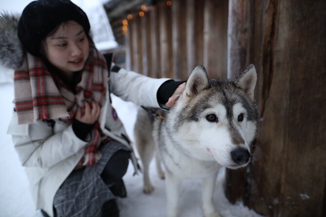 Santa Claus Village, Husky and Reindeers Combo Safari - Clothing, weather, and seasonal changes