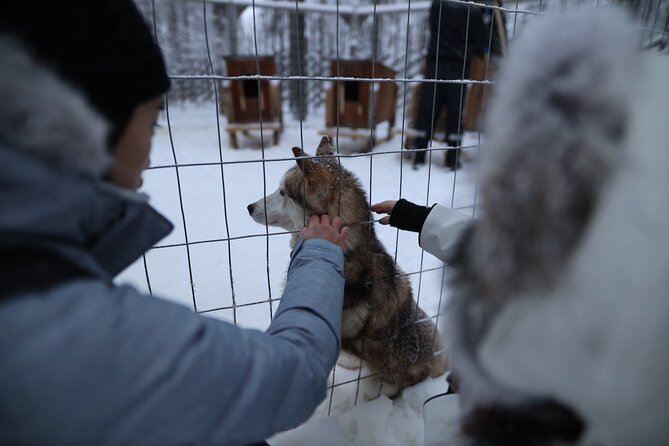 Santa Claus Village, Husky and Reindeers Combo Safari - Starting with hotel pickup in central Rovaniemi
