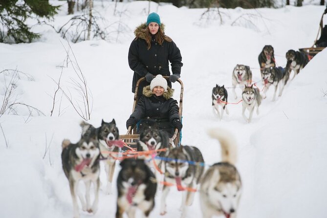 Santa's Reindeer & Husky Safari + Aurora BBQ in Rovaniemi - Is $289.04 a fair price?
