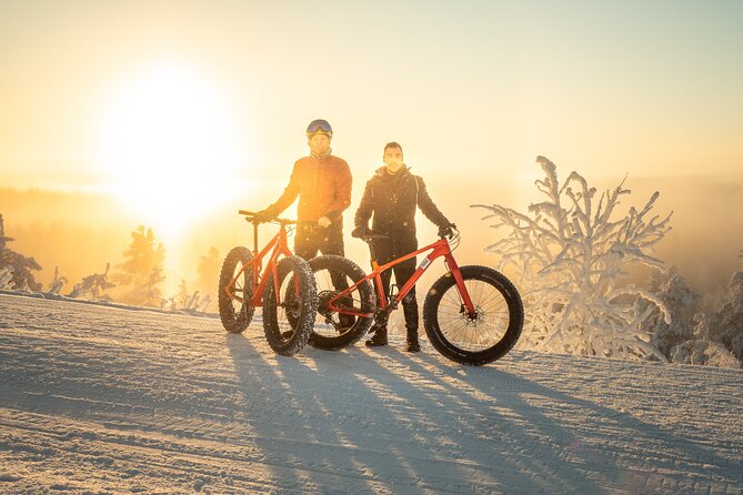 Scenic electric fat bike group ride in Rovaniemi - Key points to know before you book