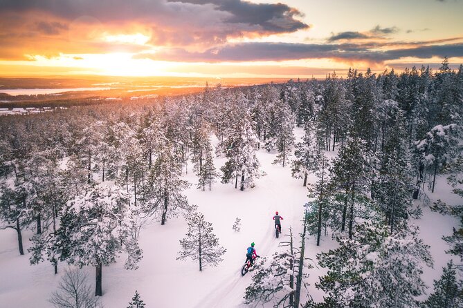Scenic electric fat bike group ride in Rovaniemi - Climbing the Ounasvaara winter trails