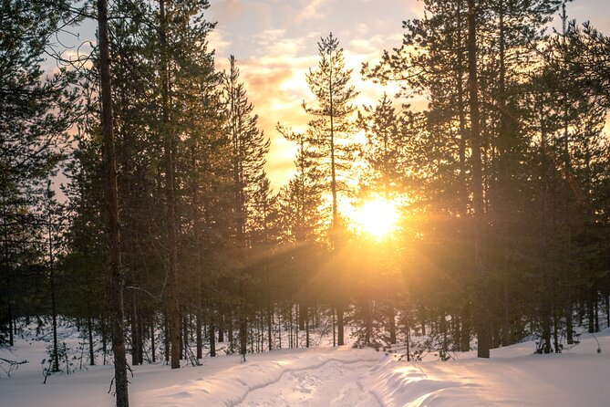Scenic electric fat bike group ride in Rovaniemi - What the small group changes