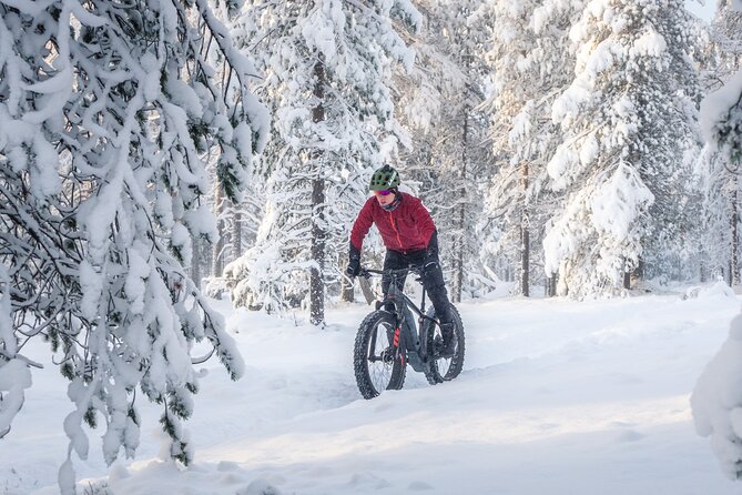 Scenic electric fat bike group ride in Rovaniemi - Is $126.50 a fair price?