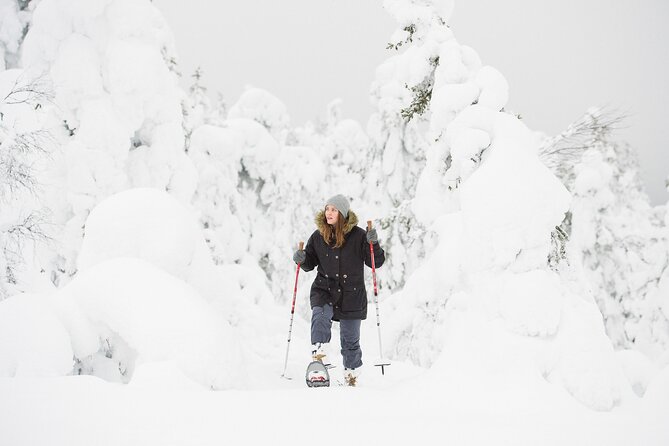 Scenic Snowshoeing on the Top of Pyhä Fell - Stories about Arctic nature and Lappish beliefs