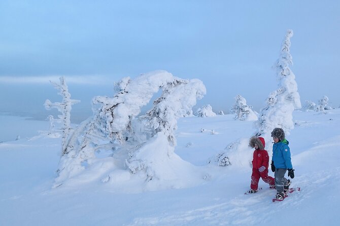Scenic Snowshoeing on the Top of Pyhä Fell - What the $128.84 price includes