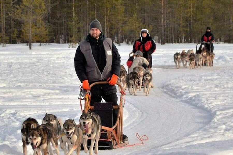 Sirkka: Husky Sled Ride in Levi 2km or 5 km from Levi - How much value do you get for $199?