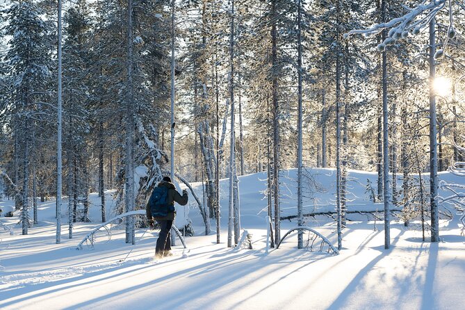 Ski Trek to the Wilderness - Extra Small group - Skiing through forests, lakes, and swamps
