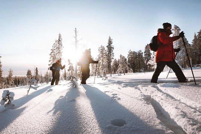 Ski Trekking Safari in Lapland - Learning Backcountry Skiing Without a Groomed Trail