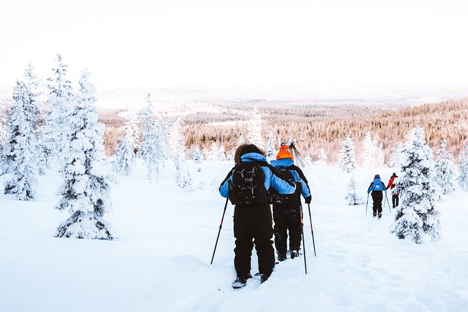 Ski Trekking Safari in Lapland - How Much Value Do You Get for $131.32?