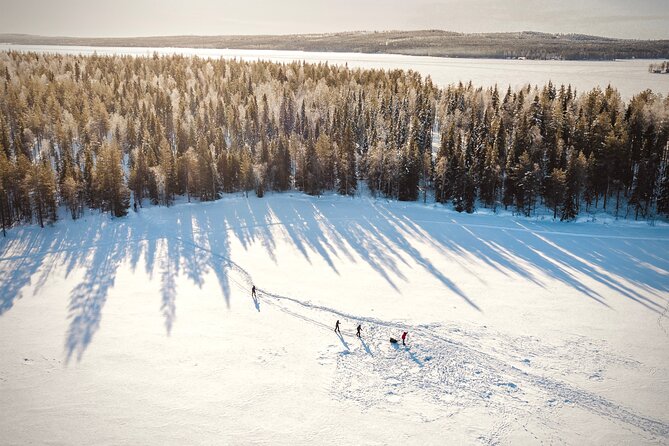 Ski Trekking Safari in Lapland - Who Will Enjoy This Ski Safari Most?