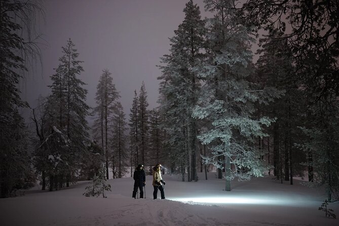Ski Trekking under the Northern Lights - Is $141.78 fair for the experience?