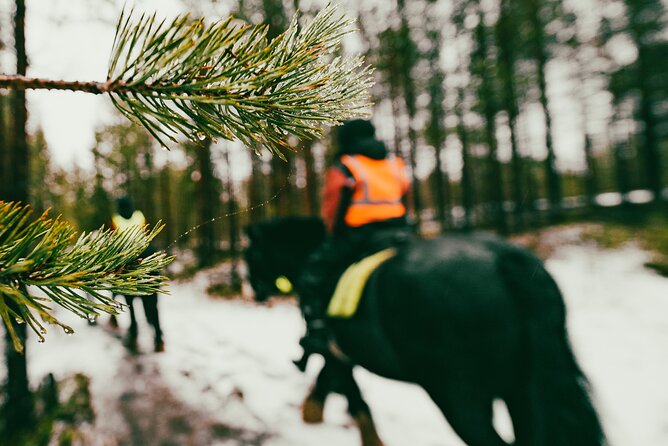 Small-Group Arctic Circle Horse Riding from Rovaniemi - From Rovaniemi to a small Arctic horse farm