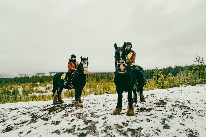 Small-Group Arctic Circle Horse Riding from Rovaniemi - A warm finish by the farm fire