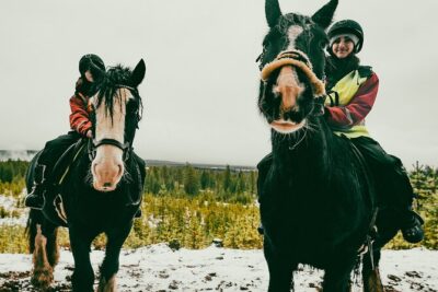 Small-Group Arctic Circle Horse Riding from Rovaniemi