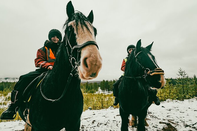 Small-Group Arctic Circle Horse Riding from Rovaniemi - How the small group changes the experience