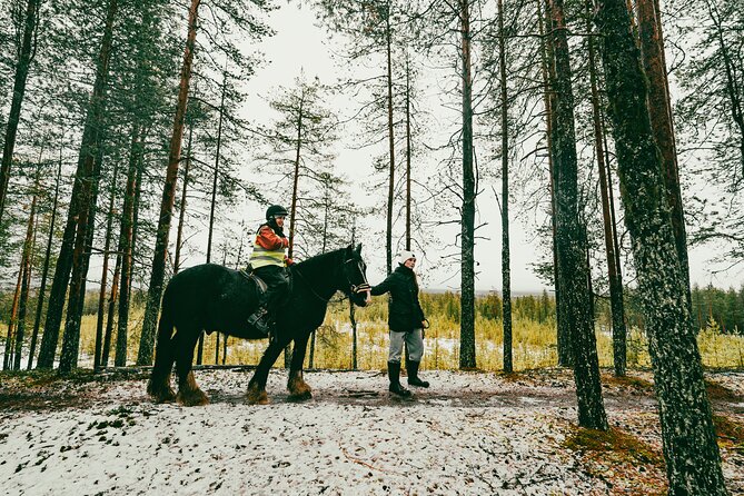 Small-Group Arctic Circle Horse Riding from Rovaniemi - Is $145 a fair price?