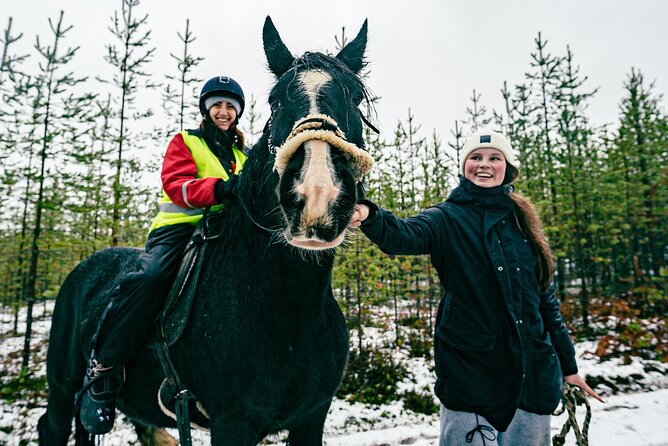 Small-Group Arctic Circle Horse Riding from Rovaniemi - Timing, pickup, and cancellation rules