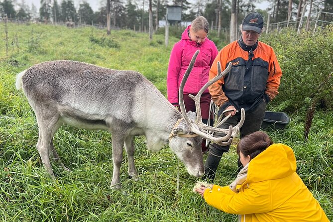 Small Group Fishing, Lunch& Reindeer Farm Visit in the Wilderness - What the $266.46 price includes