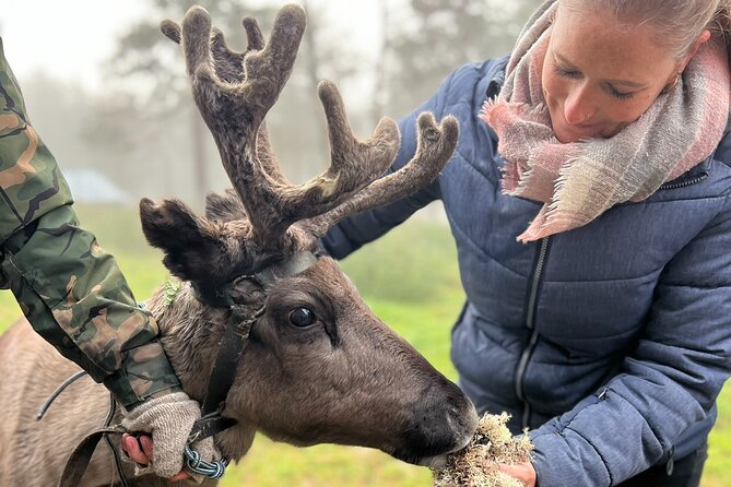Small Group Fishing, Lunch& Reindeer Farm Visit in the Wilderness - Lunch in a traditional lakeside cottage