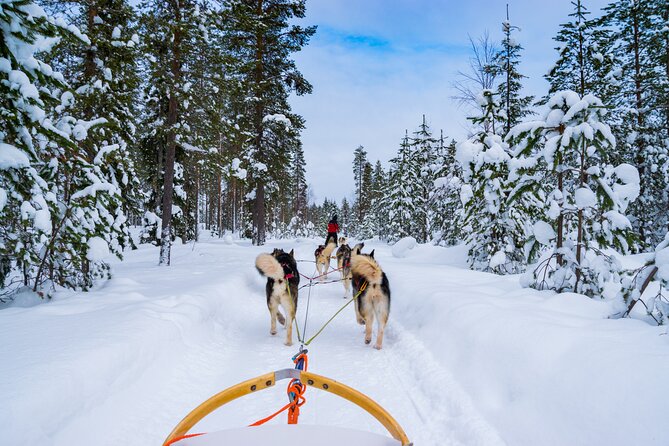 Small-Group Husky Mushing Experience in Rovaniemi - At a glance: what makes this husky trip special