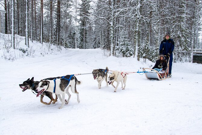 Small-Group Husky Mushing Experience in Rovaniemi - Leaving Rovaniemi for Parpalandia