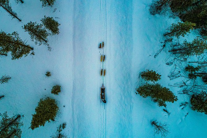 Small-Group Husky Mushing Experience in Rovaniemi - Group size and the feel of the day