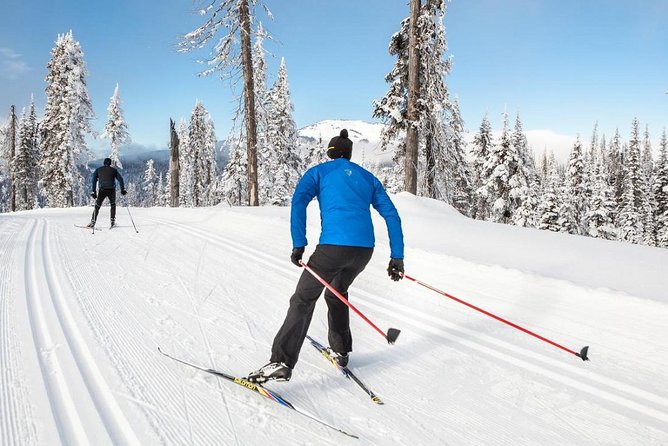 Small-Group Lapland Cross Country Ski - Why cross-country skiing fits Rovaniemi so well