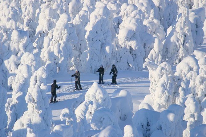 Small-Group Lapland Cross Country Ski - What the snow tracks offer