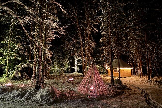 Small Group Northern Lights Hunting with BBQ and visiting Cabin - What to wear for a cold Finnish evening