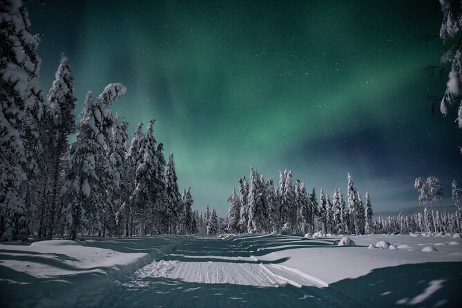 Small Group Northern Lights Hunting with BBQ and visiting Cabin - Searching the northern sky on the way
