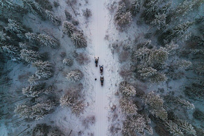 Small-Group Snowmobile Experience in Rovaniemi - A bonfire, sausages, and warm juice