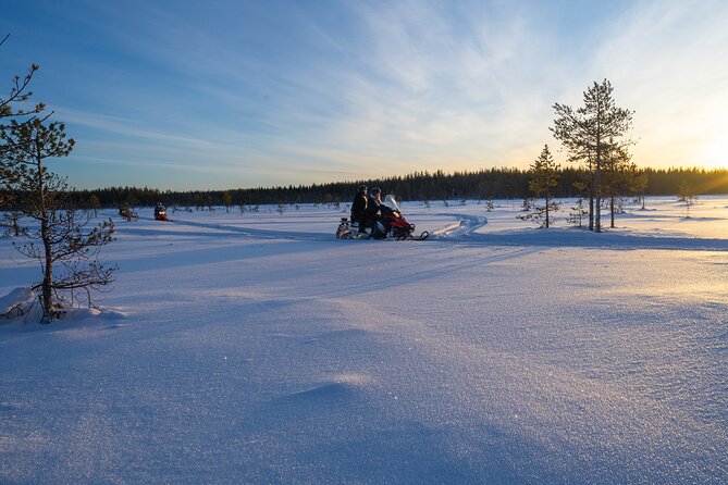 Small-Group Snowmobile Experience in Rovaniemi - How personal is a group capped at 12?