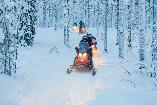 Small-Group Snowmobile Experience in Rovaniemi - Ninety minutes through trees, powder, and frozen water