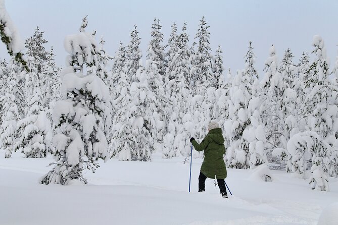 Small-Group Snowshoeing Adventure In Lapland - Key points to know before you book
