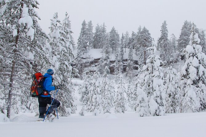 Small-Group Snowshoeing Adventure In Lapland - Why the small group changes the outing