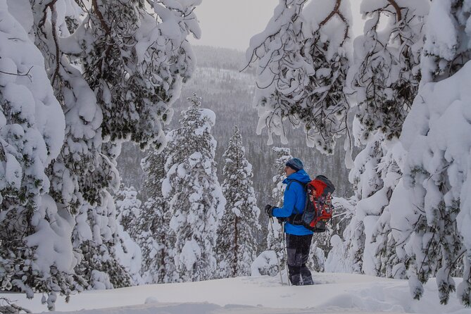 Small-Group Snowshoeing Adventure In Lapland - Warm drinks, biscuits, and a sensible pause