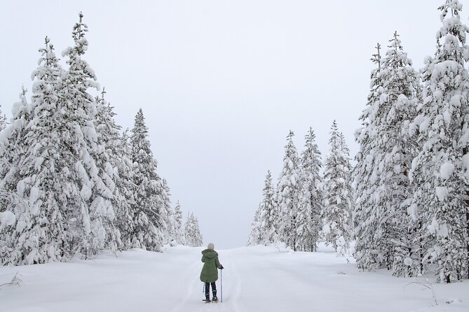 Small-Group Snowshoeing Adventure In Lapland - Clothing is the detail that can make or break it