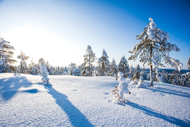 Snow Adventure Day - Warm clothing, food, and practical comfort