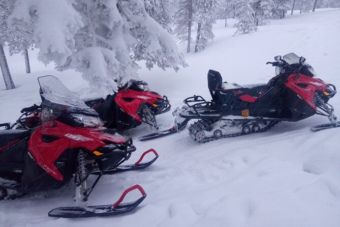Snowmobile and Ice Fishing Excursion (private tour) - Leaving Rovaniemi for the frozen north